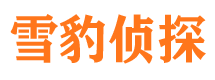 延长市调查公司